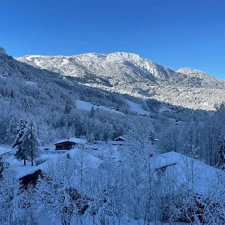 Chaleureux 2 Mansarde Aux Houches